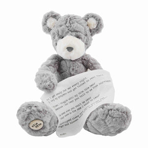 My night-night bear with recordable voice chip